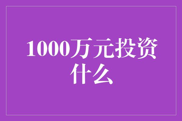 1000万元投资什么