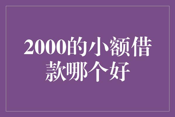 2000的小额借款哪个好