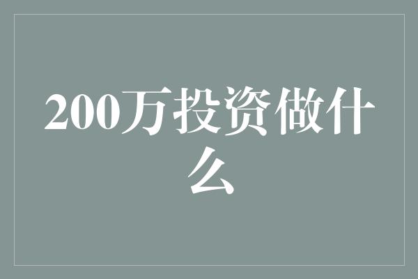 200万投资做什么