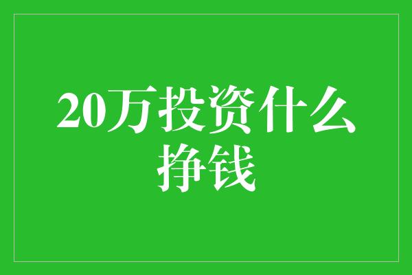 20万投资什么挣钱