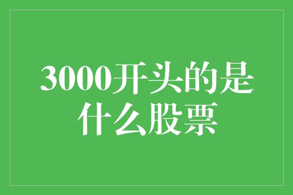 3000开头的是什么股票