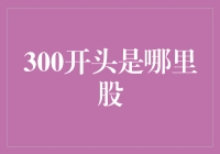 神秘300开头：股市里的中国版神秘代码