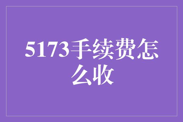 5173手续费怎么收