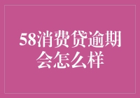 58消费贷逾期后果：解读风险与应对策略