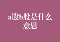 A股与B股：中国资本市场中的双胞胎市场