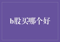 玩转B股：那些年我们一起追的股