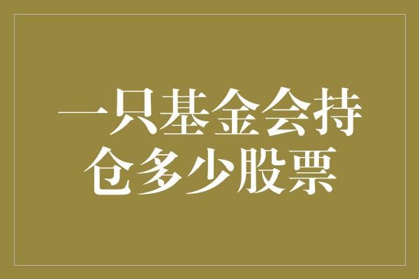 一只基金会持仓多少股票