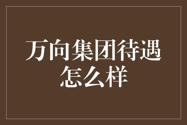 万向集团待遇怎么样