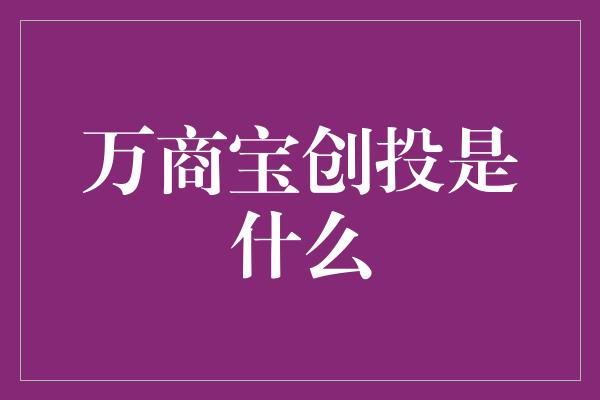 万商宝创投是什么