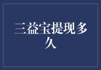 三益宝提现多久到账：背后的工作原理与用户体验评估