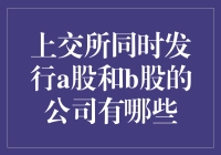 上交所同时发行A股和B股的公司分析：市场趋势与投资策略