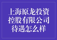 上海原龙投资控股有限公司待遇分析与评价