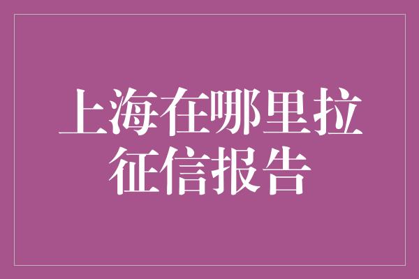 上海在哪里拉征信报告