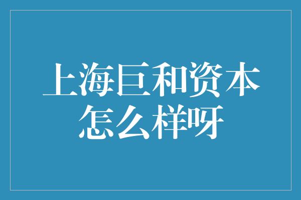 上海巨和资本怎么样呀