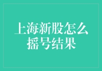 上海新股摇号结果查询全攻略：从摇号到上市