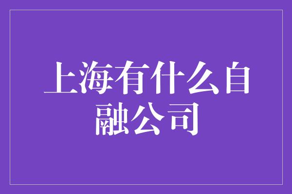 上海有什么自融公司