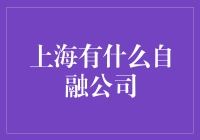 上海自融公司行业的现状与前景分析：自融公司的风险与机遇