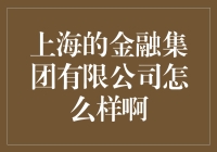 上海的金融集团有限公司：打造金融行业领军者