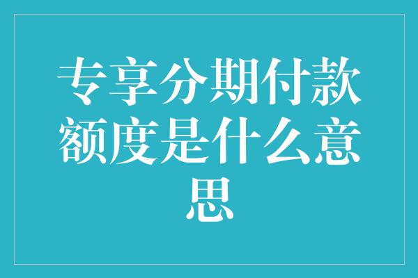 专享分期付款额度是什么意思