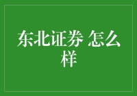 东北证券：那个冬天不再冷，是资本市场的阳光暖了我的心