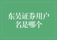 融入东吴证券的智慧之门：寻找专属用户名