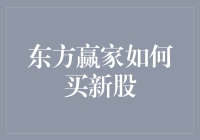 东方赢家如何买新股？----投资新机遇还是陷阱？