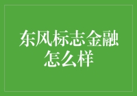 东风标志金融：豪华车贷款的小鲜肉？你懂的！