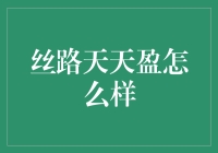 丝路天天盈：开启财富增值新篇章？