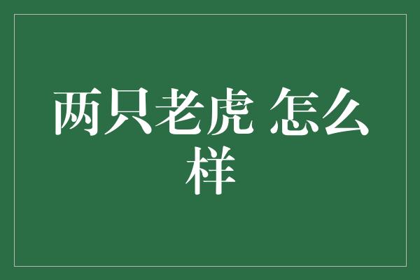 两只老虎 怎么样