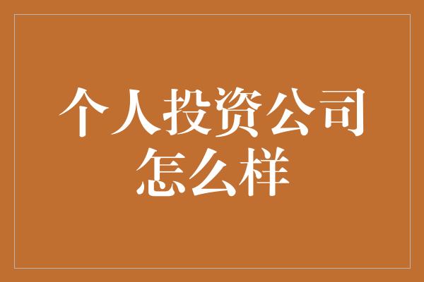 个人投资公司怎么样