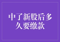 中了新股后多久要缴款？——新股缴款大揭秘