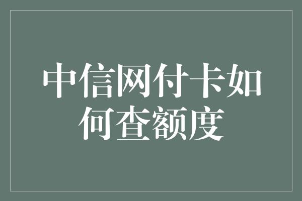 中信网付卡如何查额度