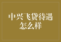 中兴飞贷待遇解析：职业发展与福利保障新高度