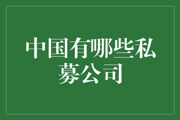 中国有哪些私募公司