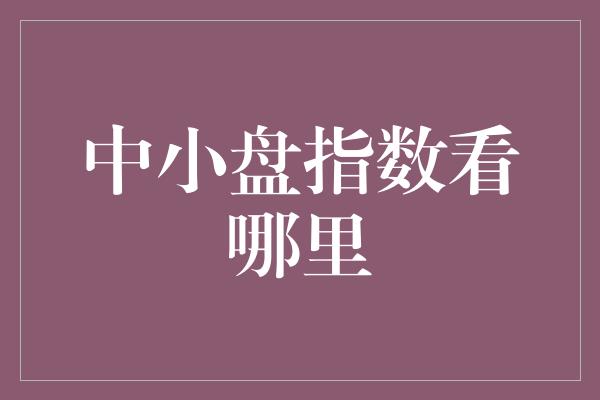 中小盘指数看哪里