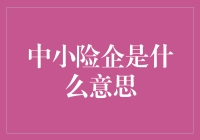 中小险企如何把握市场机遇？