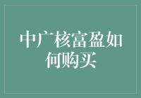 中广核富盈：一站式清洁能源投资平台的购买指南