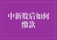 童话里的中签——中新股后如何缴款指南