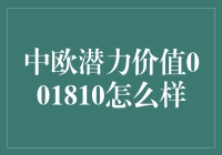 中欧潜力价值001810：探索基金背后的深层价值与潜力