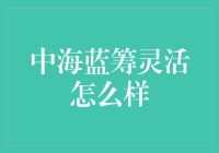 中海蓝筹灵活：让你的理财生活轻松又有趣