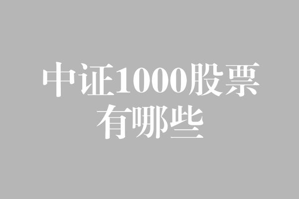 中证1000股票有哪些