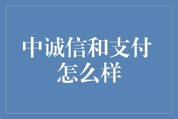 中诚信和支付 怎么样