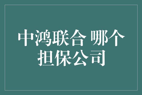 中鸿联合 哪个担保公司