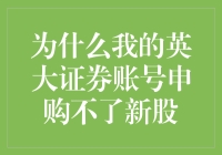 为什么我的英大证券账号申购不了新股？深度解析新股申购受限的可能原因