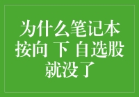 为什么笔记本按向下键自选股就没了？——这是一篇关于笔记本电脑的滑稽事件