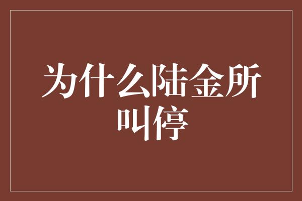 为什么陆金所叫停