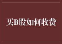 B股投资费用详解：投资者所需了解的关键费用与策略