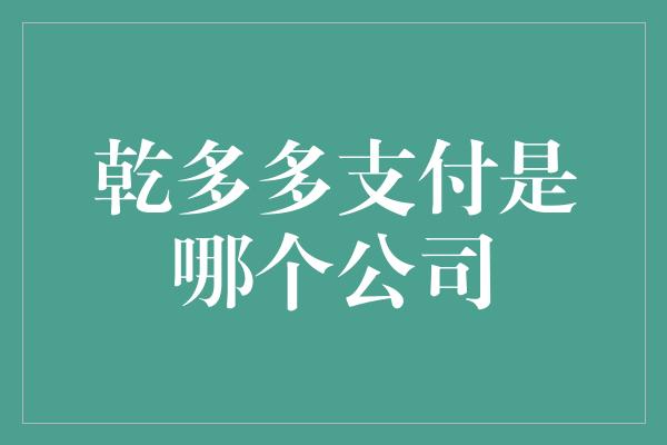 乾多多支付是哪个公司