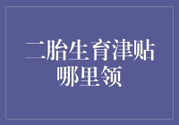 二胎生育津贴领取指南：从不听话的宝宝到全村的希望