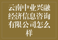 云南中业兴融经济信息咨询有限公司：哪里的鱼怎么都比在公司里游得自由？